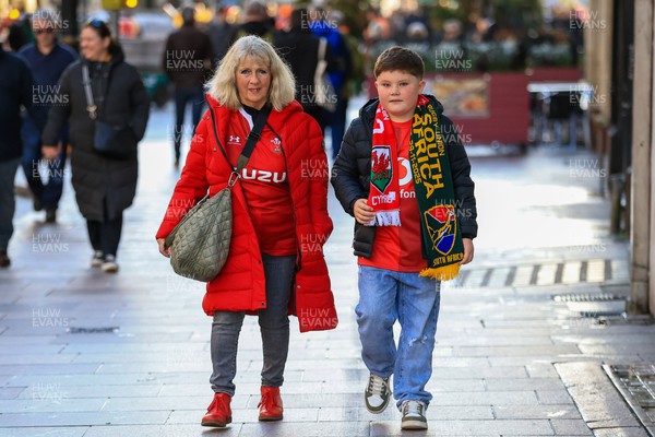 291125 - Wales v South Africa - Quilter Nations Series - Wales fans before game 