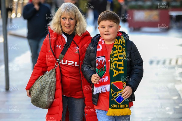 291125 - Wales v South Africa - Quilter Nations Series - Wales fans before game 