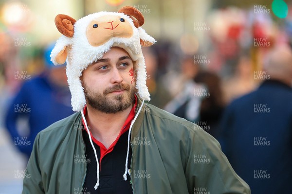 291125 - Wales v South Africa - Quilter Nations Series - Wales fans before game 