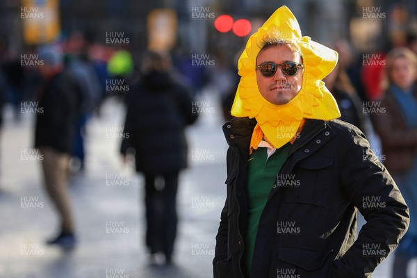 291125 - Wales v South Africa - Quilter Nations Series - South Africa fans before game
