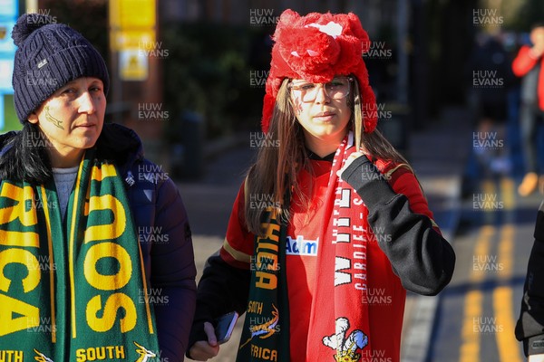 291125 - Wales v South Africa - Quilter Nations Series - South Africa and Wales fans before game