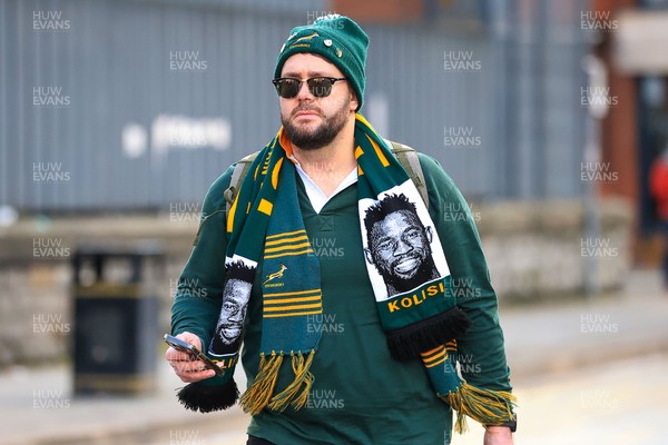 291125 - Wales v South Africa - Quilter Nations Series - South Africa fans before game