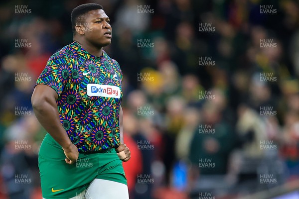 291125 - Wales v South Africa - Quilter Nations Series - South Africa players warming up before game 