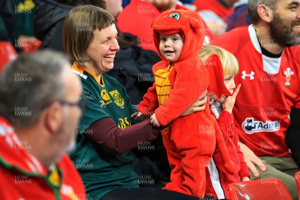 291125 - Wales v South Africa - Quilter Nations Series - Young Wales fan dressed up for the game in dragon costume