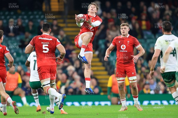 291125 - Wales v South Africa - Quilter Nations Series - Ellis Mee of Wales 