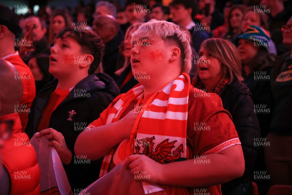 291125 - Wales v South Africa - Quilter Nations Series - Wales fans during national anthems