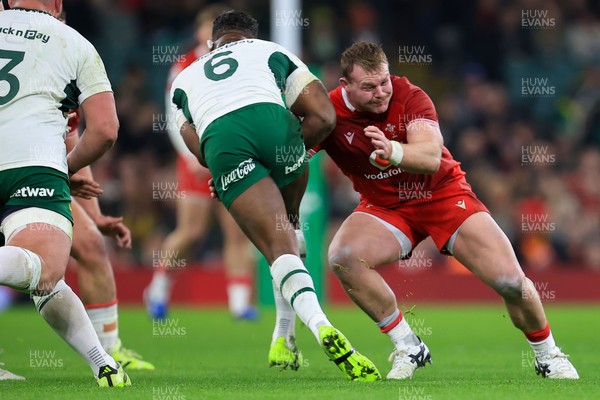 291125 - Wales v South Africa - Quilter Nations Series - Dewi Lake of Wales 
