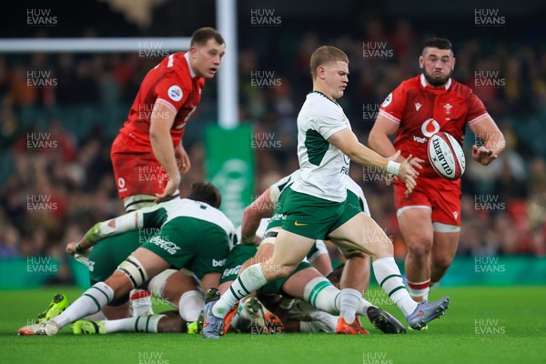 291125 - Wales v South Africa - Quilter Nations Series - Morne van den Berg of South Africa 