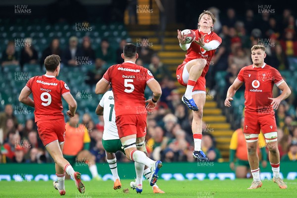291125 - Wales v South Africa - Quilter Nations Series - Ellis Mee of Wales 