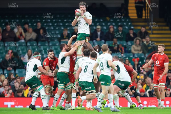 291125 - Wales v South Africa - Quilter Nations Series - Ruan Nortje of South Africa