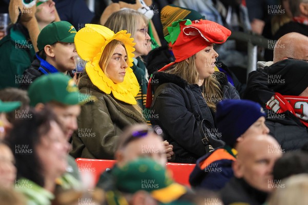 291125 - Wales v South Africa - Quilter Nations Series - Wales fans during game