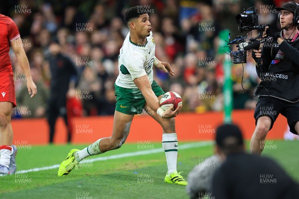 291125 - Wales v South Africa - Quilter Nations Series - Sacha Feinberg-Mngomezulu of South Africa celebrates after scoring