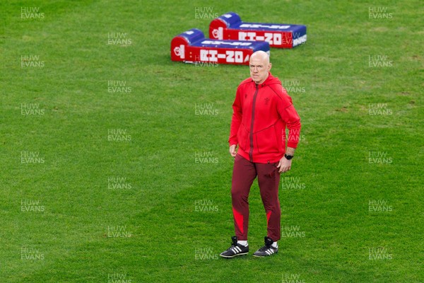 291125 - Wales v South Africa - Quilter Nations Series - Wales head coach Steve Tandy during the warm up