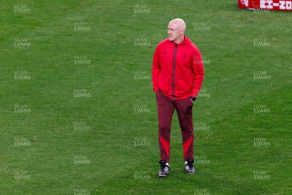 291125 - Wales v South Africa - Quilter Nations Series - Wales head coach Steve Tandy before the match
