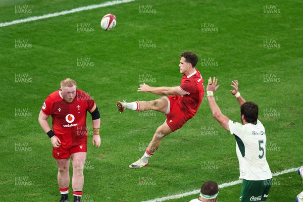 291125 - Wales v South Africa - Quilter Nations Series - Kieran Hardy of Wales kicks the ball from inside his own in-goal are