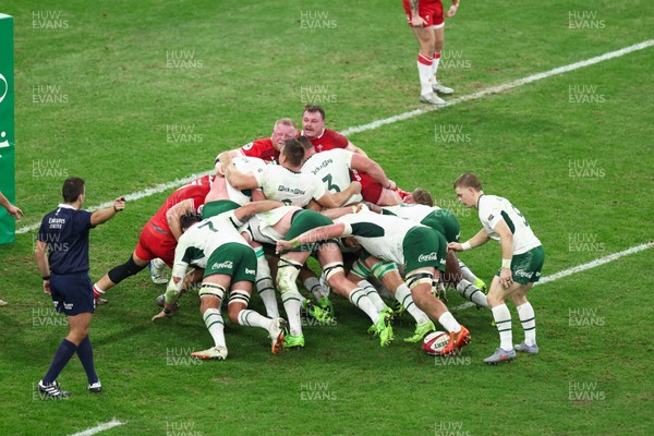 291125 - Wales v South Africa - Quilter Nations Series - The Wales front row come up in a scrum as Referee Luc Ramos awards a penalty to South Africa