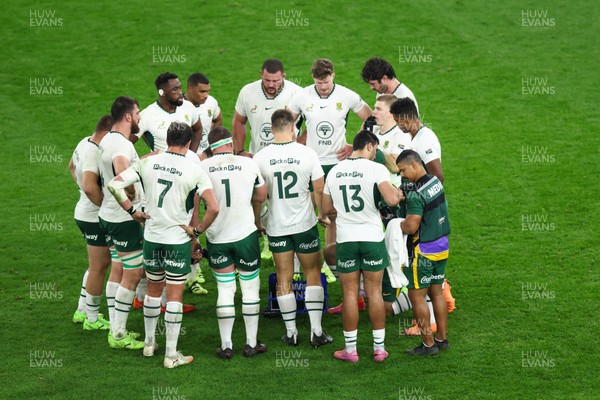 291125 - Wales v South Africa - Quilter Nations Series - South Africa huddle