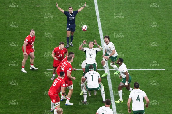 291125 - Wales v South Africa - Quilter Nations Series - Franco Mostert of South Africa goes up for a lineout