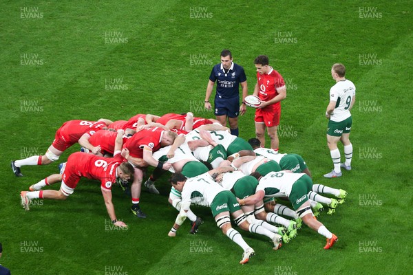 291125 - Wales v South Africa - Quilter Nations Series - Kieran Hardy of Wales prepares to put the ball into scrum