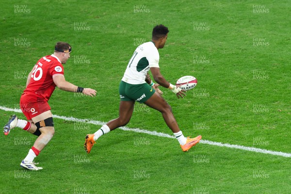 291125 - Wales v South Africa - Quilter Nations Series - Canan Moodie of South Africa goes over for a try