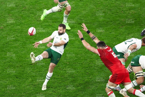 291125 - Wales v South Africa - Quilter Nations Series - Cobus Reinach of South Africa kicks the ball