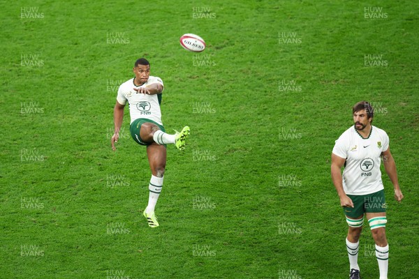 291125 - Wales v South Africa - Quilter Nations Series - Damian Willemse of South Africa kicks for touch