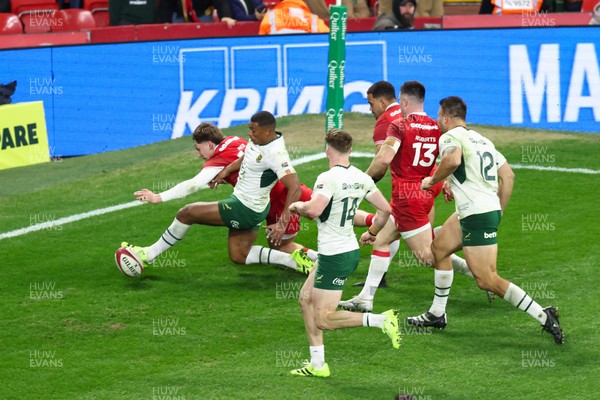291125 - Wales v South Africa - Quilter Nations Series - Ellis Mee of Wales goes close to scoring a try