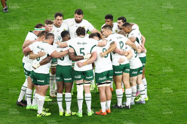 291125 - Wales v South Africa - Quilter Nations Series - South Africa huddle