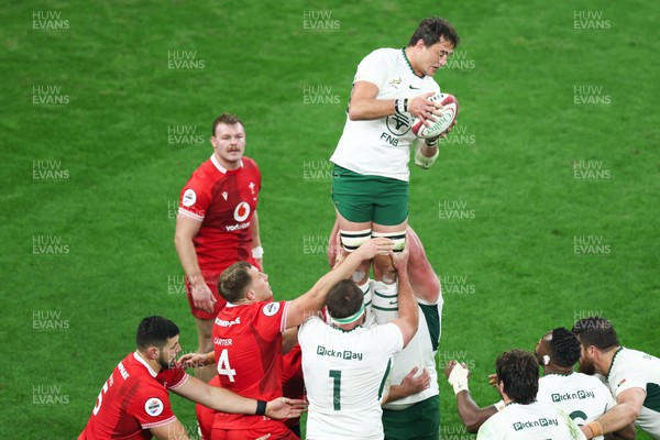 291125 - Wales v South Africa - Quilter Nations Series - Franco Mostert of South Africa wins a lineout