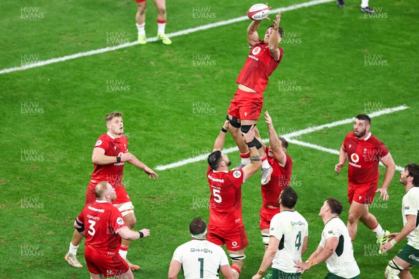 291125 - Wales v South Africa - Quilter Nations Series - Alex Mann of Wales wins a lineout