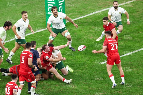 291125 - Wales v South Africa - Quilter Nations Series - Dewi Lake passes the ball out of a maul to Reuben Morgan-Williams of Wales