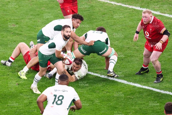 291125 - Wales v South Africa - Quilter Nations Series - Cobus Reinach of South Africa passes the ball
