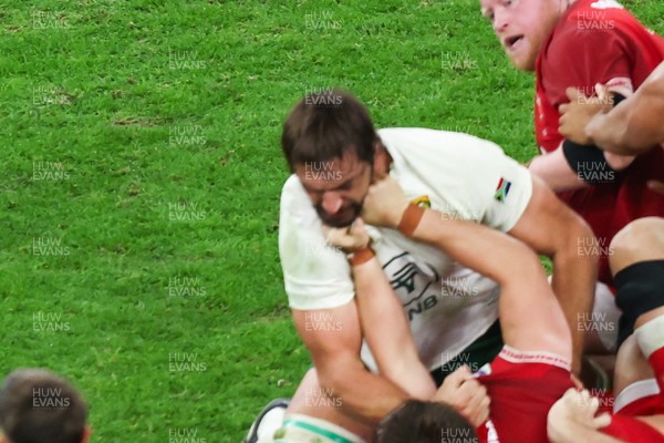 291125 - Wales v South Africa - Quilter Nations Series - Alex Mann of Wales and Eben Etzebeth of South Africa tussle on the floor ahead of the incident that led to Eben Etzebeth being sent off