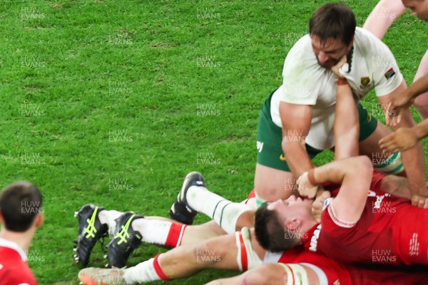 291125 - Wales v South Africa - Quilter Nations Series - Alex Mann of Wales and Eben Etzebeth of South Africa tussle on the floor ahead of the incident that led to Eben Etzebeth being sent off