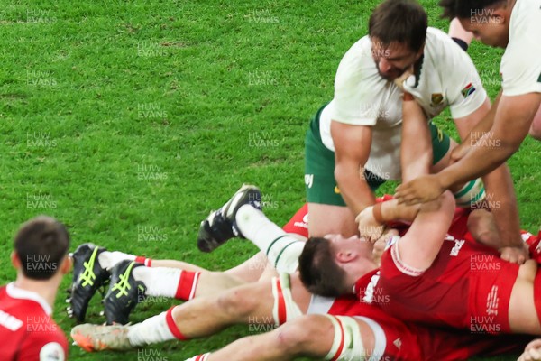 291125 - Wales v South Africa - Quilter Nations Series - Alex Mann of Wales and Eben Etzebeth of South Africa tussle on the floor ahead of the incident that led to Eben Etzebeth being sent off