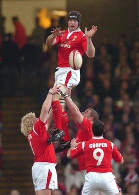 Wales v South Africa 191105