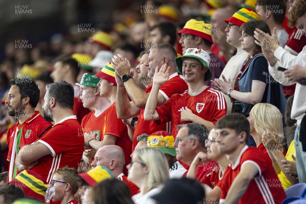 070923 - Wales v South Korea - International Friendly - Welsh fans in attendance 