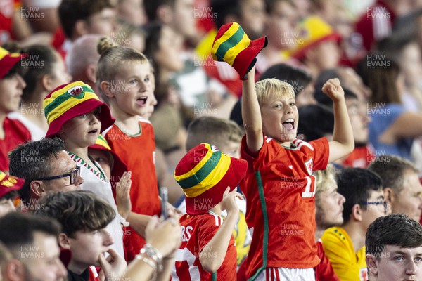 070923 - Wales v South Korea - International Friendly - Welsh fans in attendance 