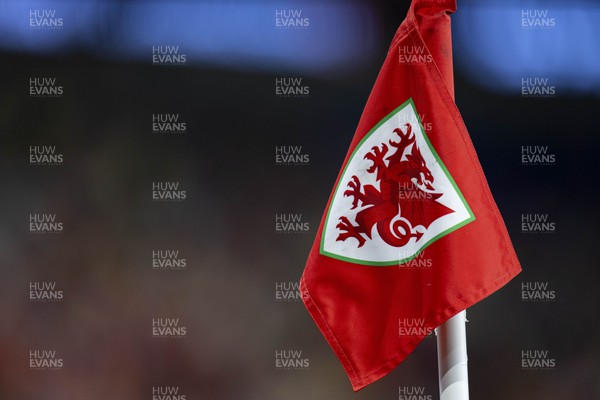 070923 - Wales v South Korea - International Friendly - Wales corner flag at full time