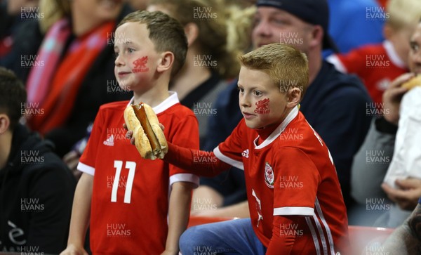 111018 - Wales v Spain - International Friendly - Young Wales fans