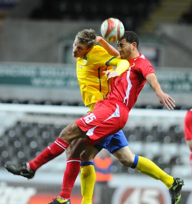 03.03.10 - International Football Friendly, Wales v Sweden Sweden's Viktor Elm and Wales' Lewin Nyatanga compete 