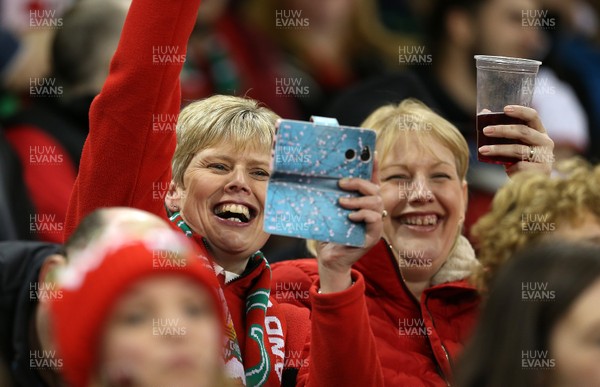 171118 - Wales v Tonga - Under Armour Series - Fans