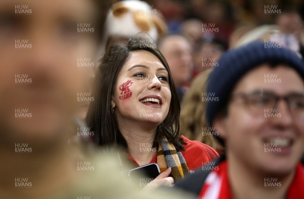 171118 - Wales v Tonga - Under Armour Series - Fans