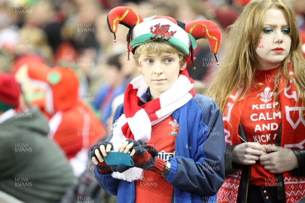 221113 - Wales v Tonga - Dove Men Series 2013 - Crowd Shots