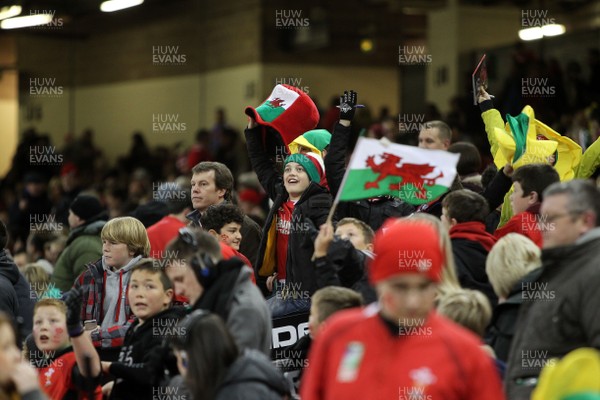 221113 - Wales v Tonga - Dove Men Series 2013 - Crowd Shots