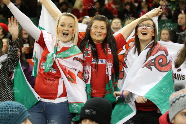 221113 - Wales v Tonga - Dove Men Series 2013 - Crowd Shots