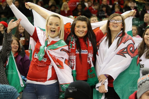 221113 - Wales v Tonga - Dove Men Series 2013 - Crowd Shots