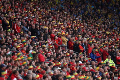 050622 -  Wales v Ukraine, World Cup Qualifying Play Off Final - Wales fans watch on