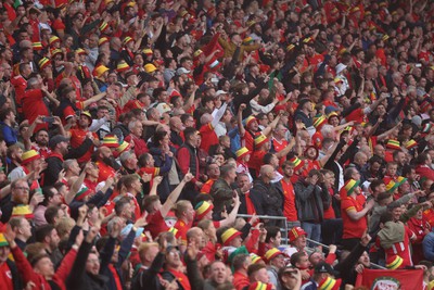 050622 -  Wales v Ukraine, World Cup Qualifying Play Off Final - Fans celebrate as Wales reach the World Cup Finals