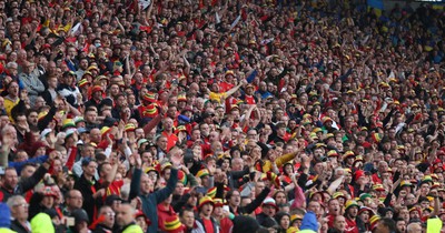 050622 -  Wales v Ukraine, World Cup Qualifying Play Off Final - Wales fans celebrate as their team reach the World Cup Finals